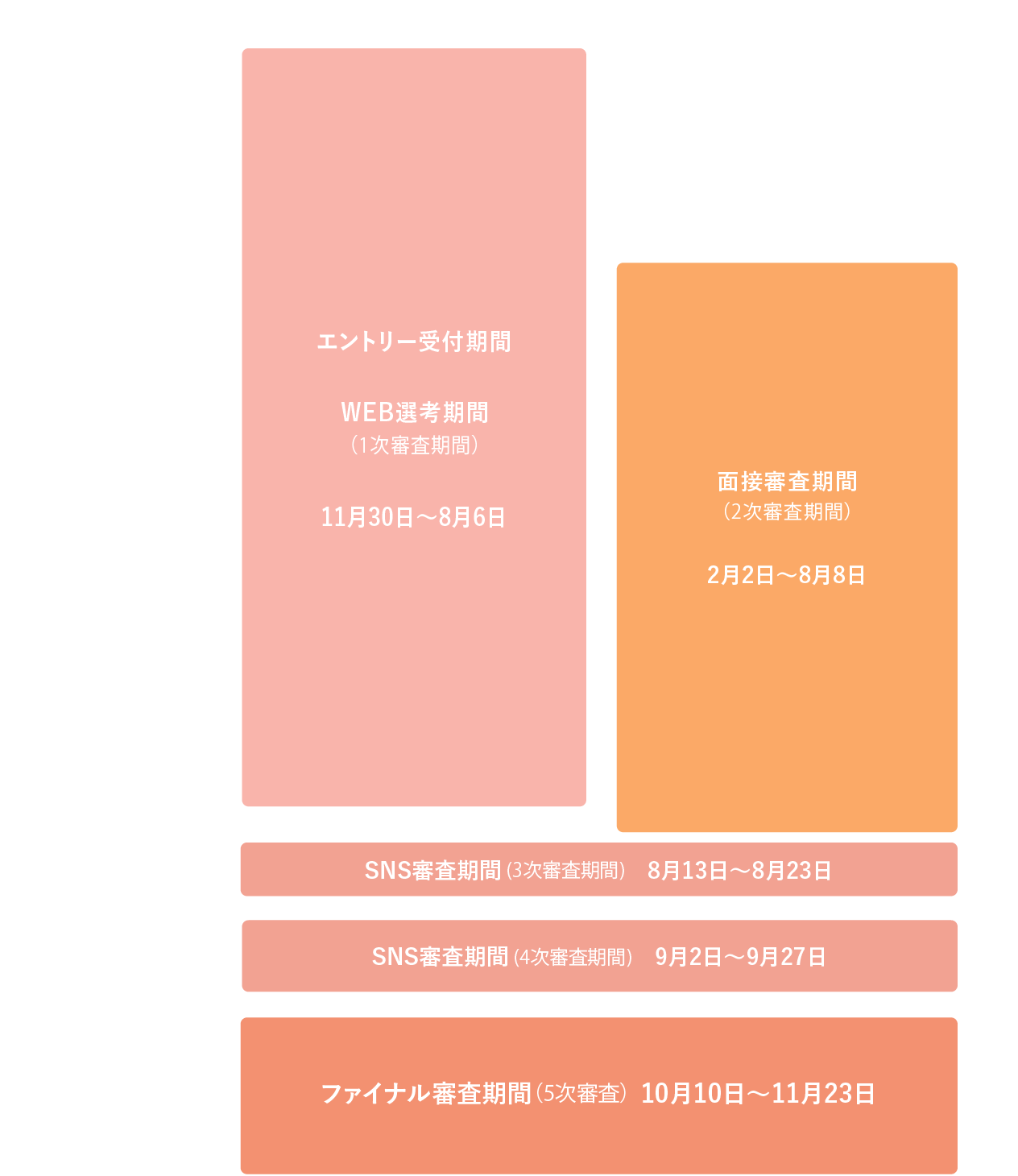 審査スケジュール